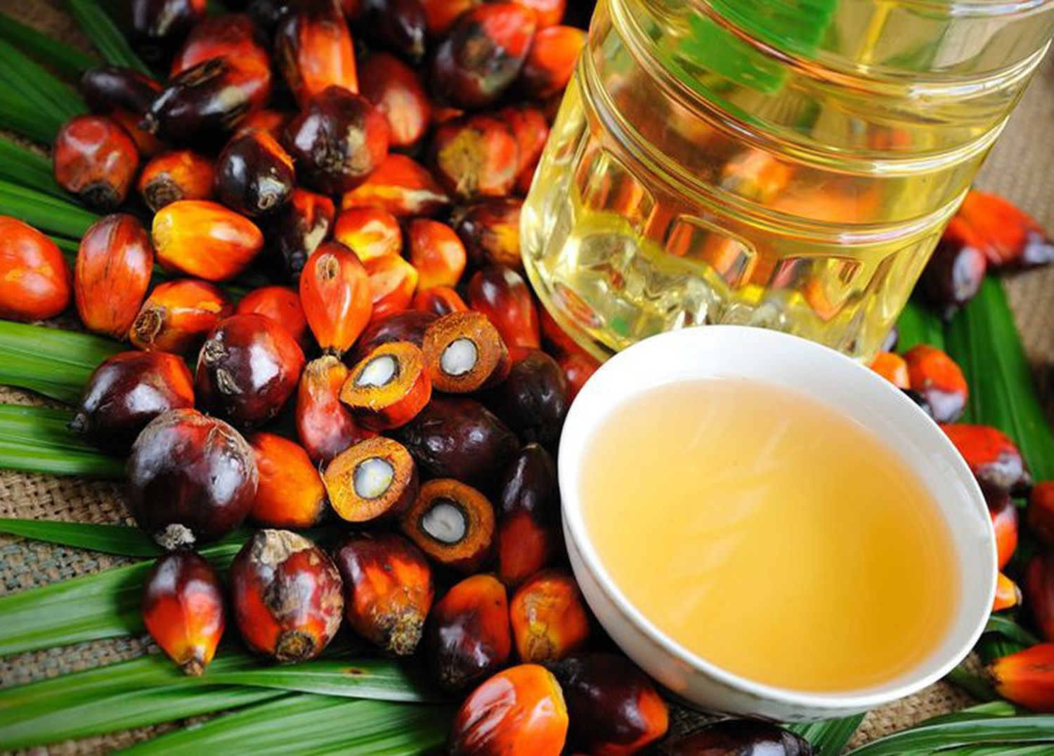 Palm Kernel Oil PKO Suppliers In Nigeria Sellers Exporters Buyers