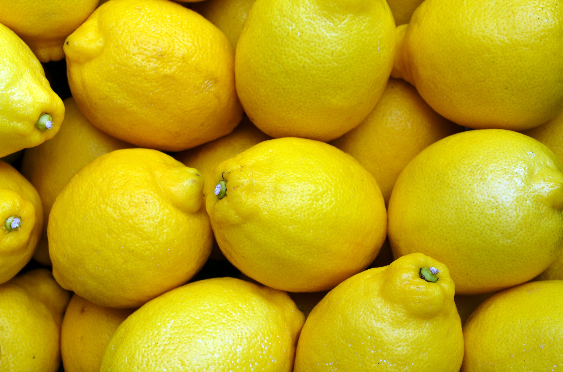 how-to-start-lemon-farming-nigeria-africa-startuptipsdaily