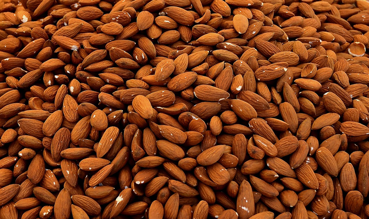 How To Start A Lucrative Almond Farming Business In Nigeria and Africa: The  Complete Guide - StartupTipsDaily