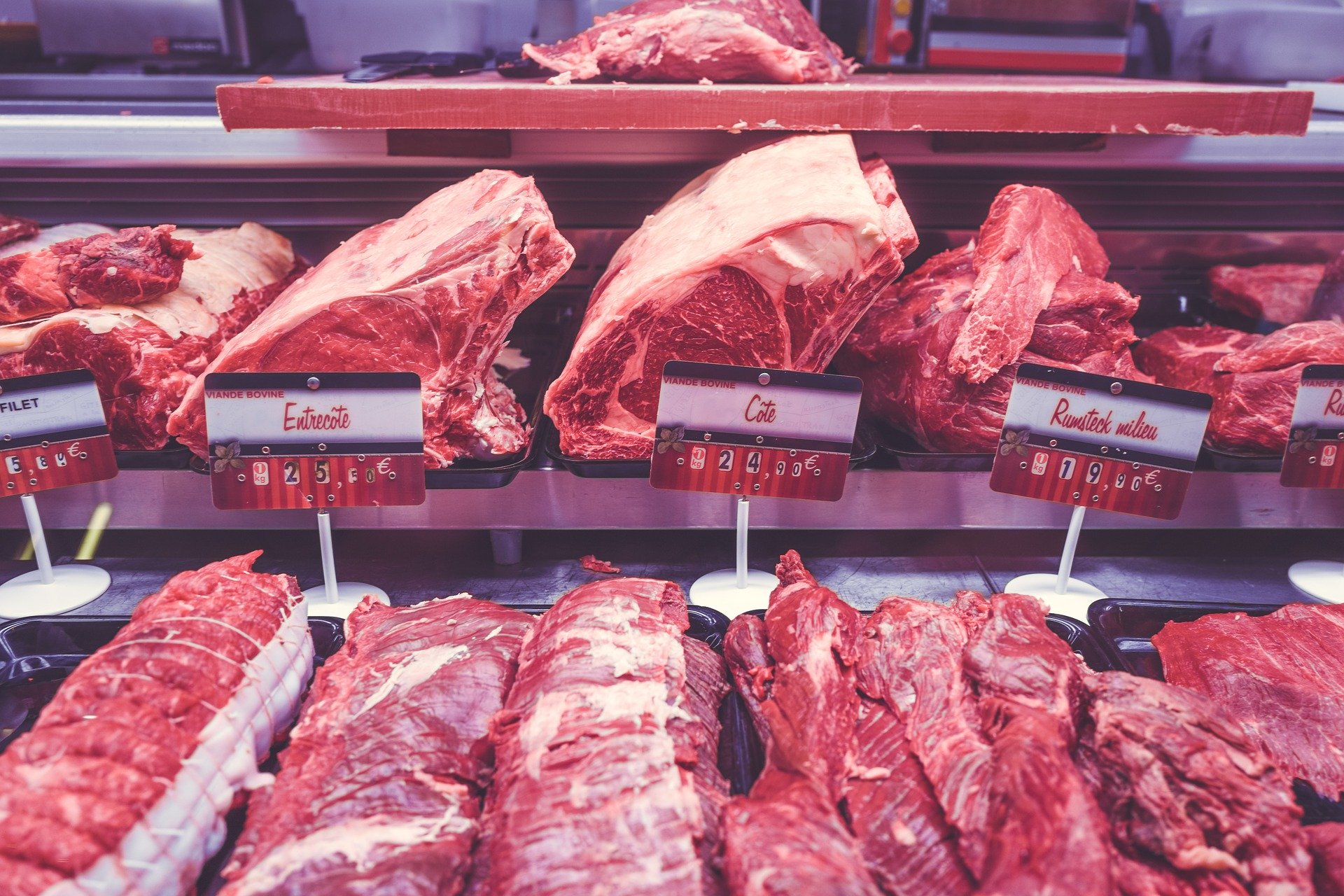 meat processing business plan in nigeria