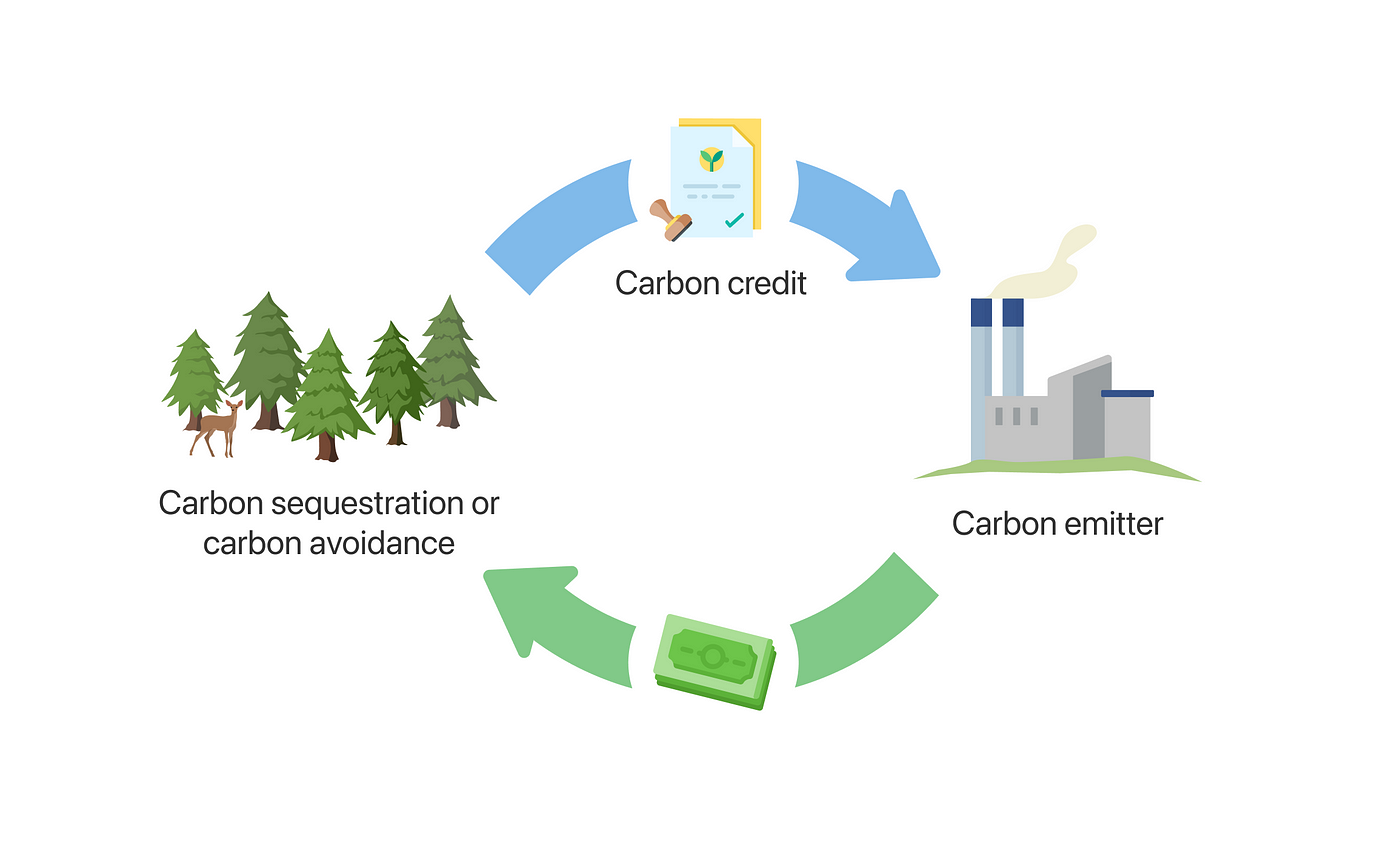 how-to-start-a-lucrative-carbon-credits-offset-or-selling-business-in